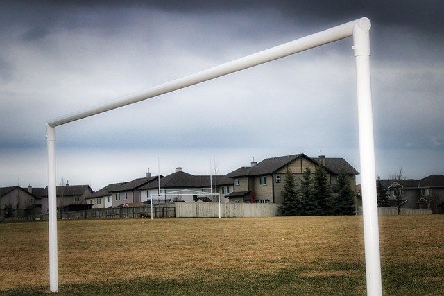 德甲半场：布兰特破门，吉拉西倒地未判点，多特1-0霍芬海姆