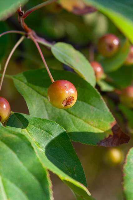 上的竞争实 上的竞争实