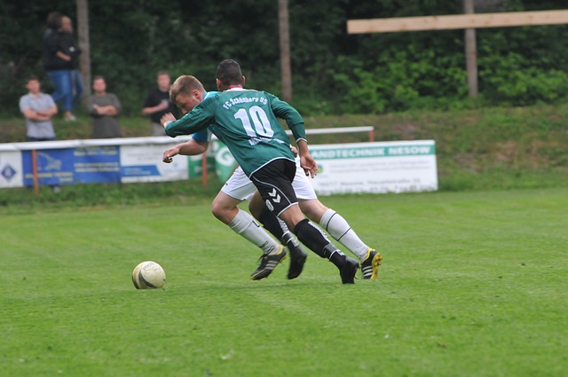 在众多转会 在众多转会