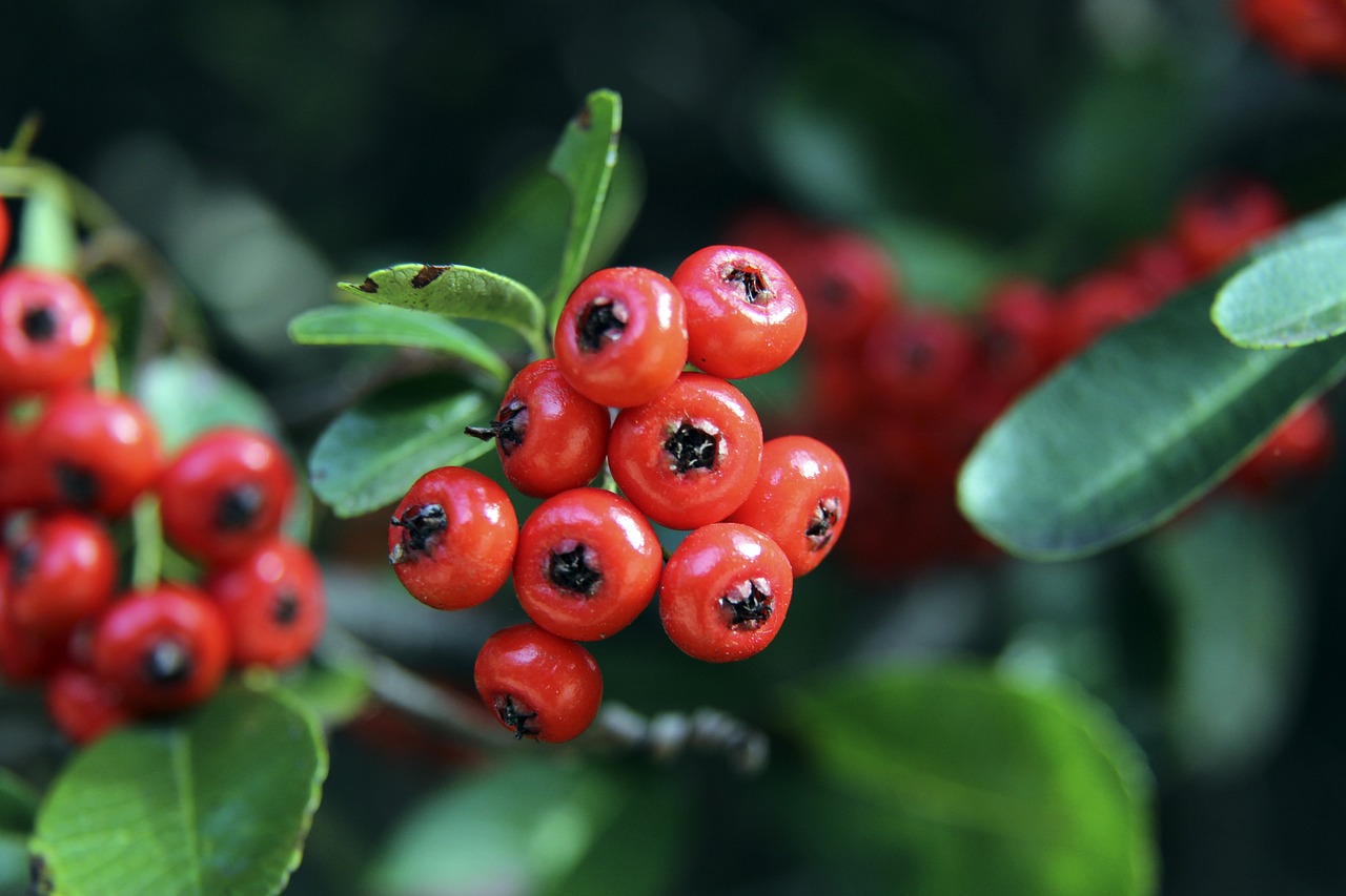 赛的公平性 赛的公平性