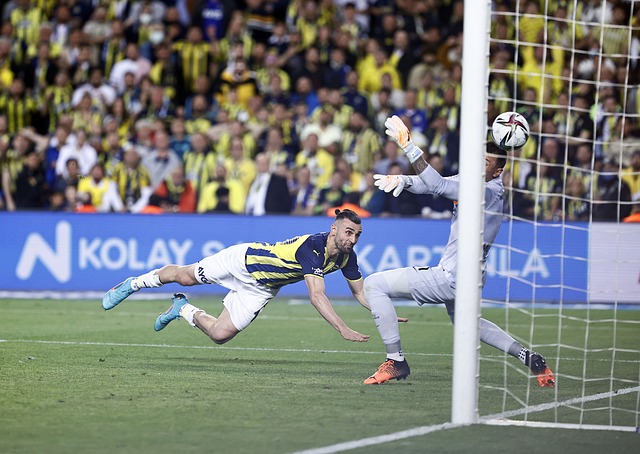 们的强项 们的强项