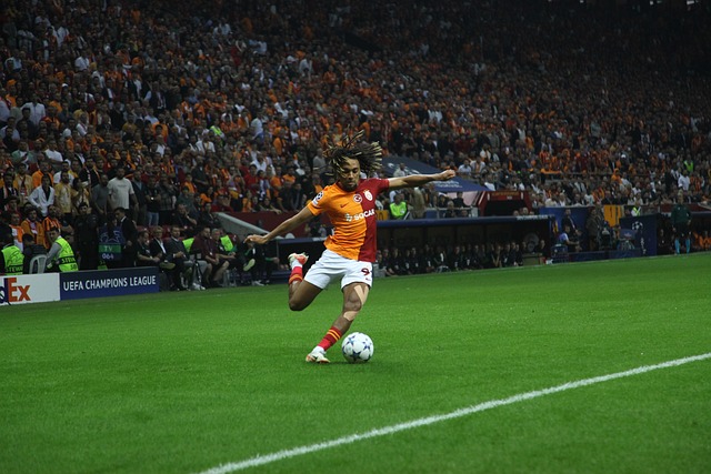 在这个令人 在这个令人