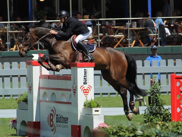 懈的努力 懈的努力