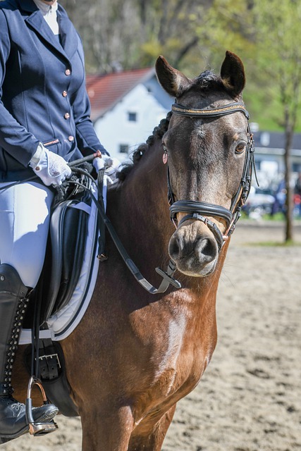 一场场硬战 一场场硬战