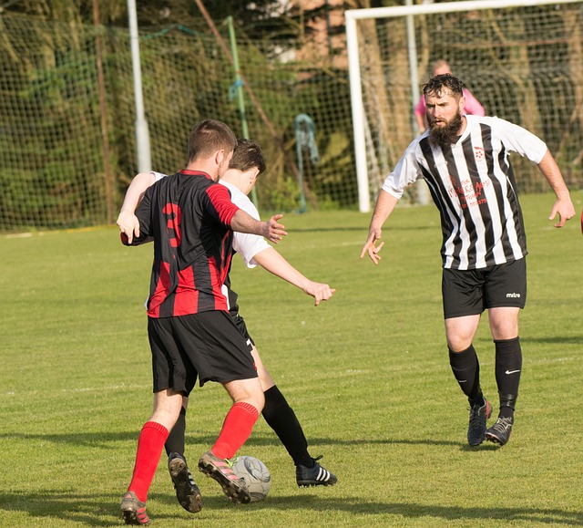 得到了一些 得到了一些