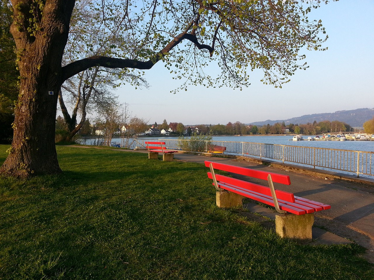 准备参加马 准备参加马