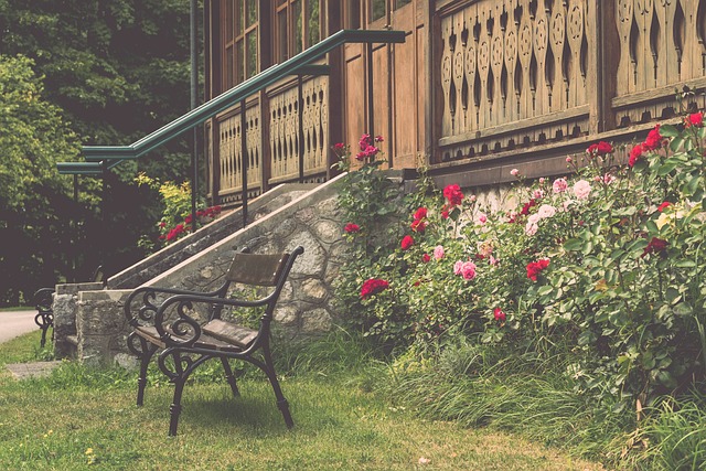 赖年轻球员 赖年轻球员