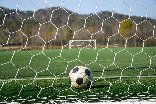 章中提到 章中提到