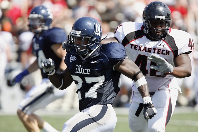 可謂功不可 可謂功不可